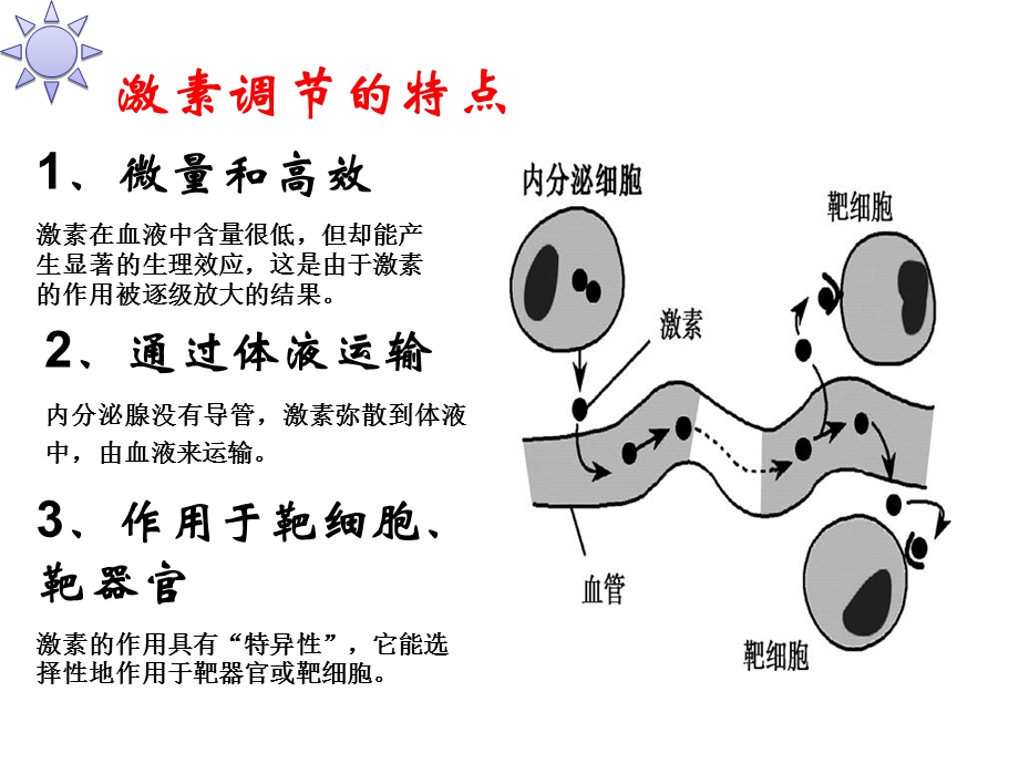 高等动物内分泌系统与功能.ppt_第3页