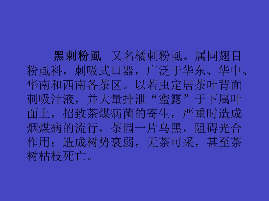 黑刺粉虱防治.ppt_第2页