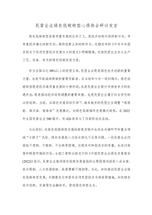 民营企业绿色低碳转型心得体会研讨发言.docx