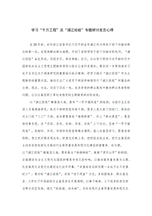 2023学习“千万工程”及“浦江经验”专题研讨发言心得12篇（精编版）.docx