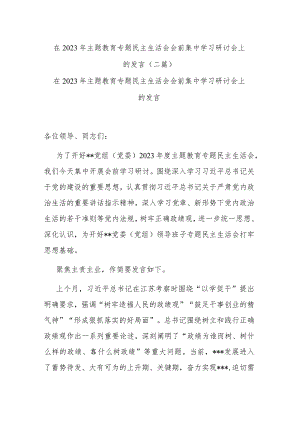 在2023年主题教育专题民主生活会会前集中学习研讨会上的发言(二篇).docx