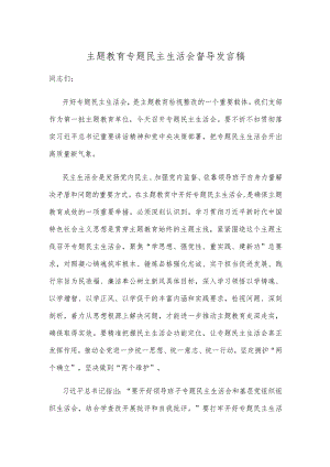 主题教育专题民主生活会督导发言稿.docx