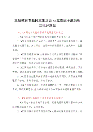 主题教育专题民主生活会某党委班子成员相互批评意见.docx