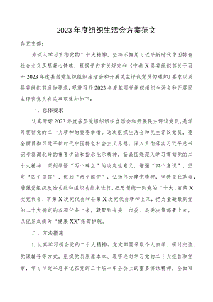 2022年度组织生活会方案.docx