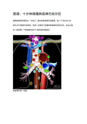 图谱：十分钟搞懂肺癌淋巴结分区.docx