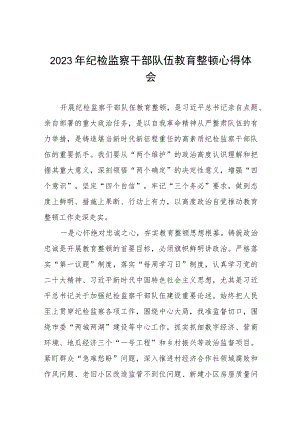 2023纪检干部队伍教育整顿的心得体会(5篇).docx