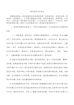 清风肃纪行动总结.docx