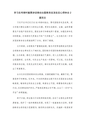 学习在考察时重要讲话推动主题教育走深走实心得体会2篇范文.docx