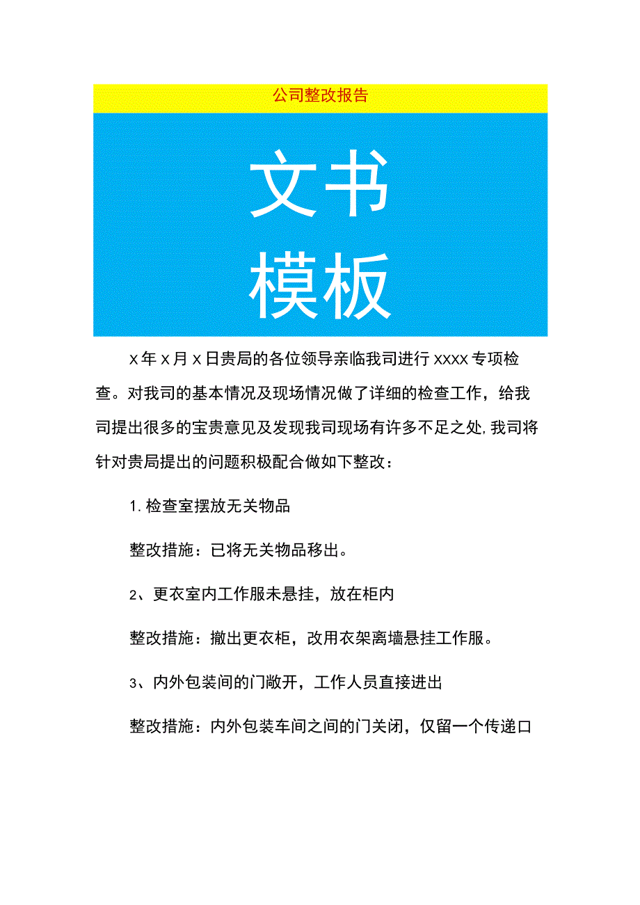 公司整改报告.docx_第1页