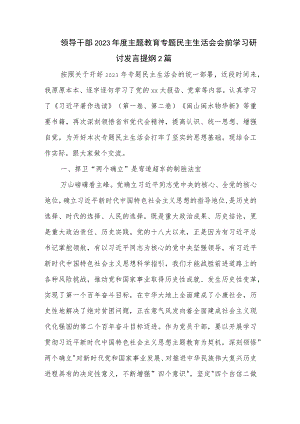 领导干部2023年度主题教育专题民主生活会会前学习研讨发言提纲2篇.docx