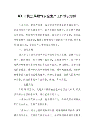 XX市执法局燃气安全生产工作情况总结.docx