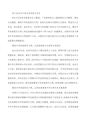 两个结合学习体会思考研讨发言.docx