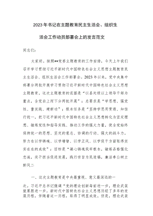 2023年书记在主题教育民主生活会、组织生活会工作动员部署会上的发言范文.docx