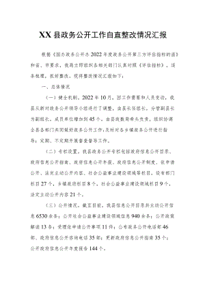 XX县政务公开工作自查整改情况汇报.docx