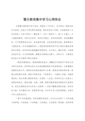 警示教育集中学习心得体会 .docx