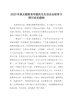 2023年度主题教育专题民主生活会会前学习研讨发言提纲.docx