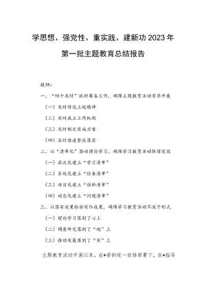 学思想、强党性、重实践、建新功2023年第一批主题教育总结报告.docx