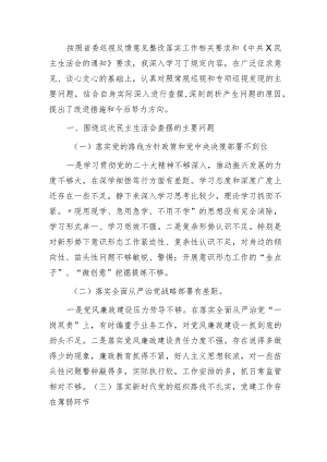 巡视（巡察）整改专题民主生活会个人对照检查发言2000字.docx