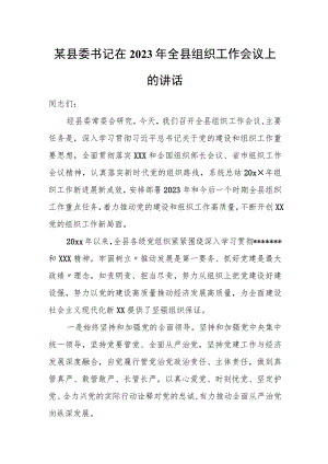 某县委书记在2023年全县组织工作会议上的讲话.docx