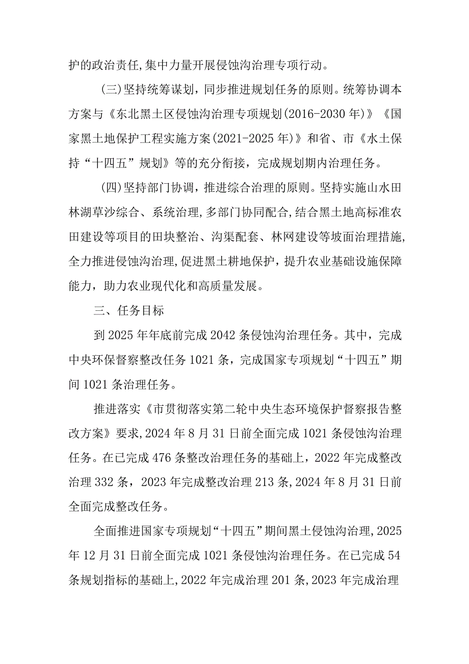 2023年侵蚀沟治理专项行动方案.docx_第2页