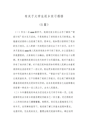 有关于大学生返乡实习感悟（5篇）.docx