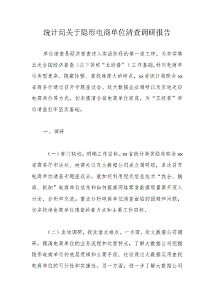 统计局关于隐形电商单位清查调研报告.docx