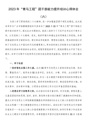 2023年“青马工程”团干部能力提升培训心得体会（六）.docx