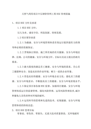 天然气利用项目中压钢管管网工程HSE管理措施.docx