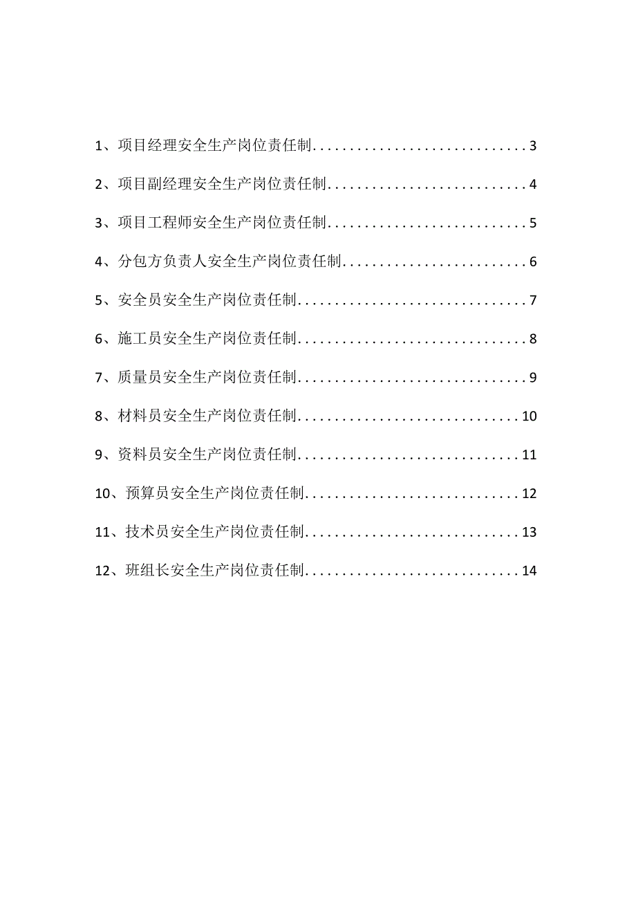 项目岗位人员安全生产责任制.docx_第2页