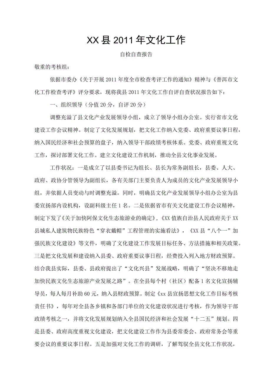 文化产业自查报告.docx_第1页