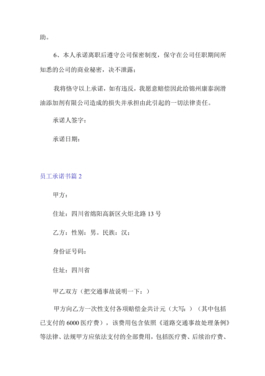 2022年精选员工承诺书汇总6篇【模板】.docx_第2页