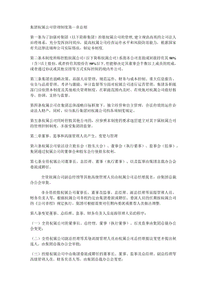 集团权属大中型公司管理制度规定.docx