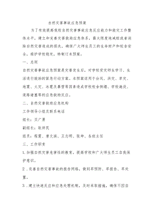 自然灾害事故应急预案.docx