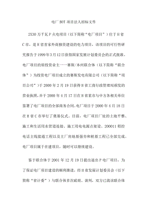 电厂BOT项目法人招标文件.docx