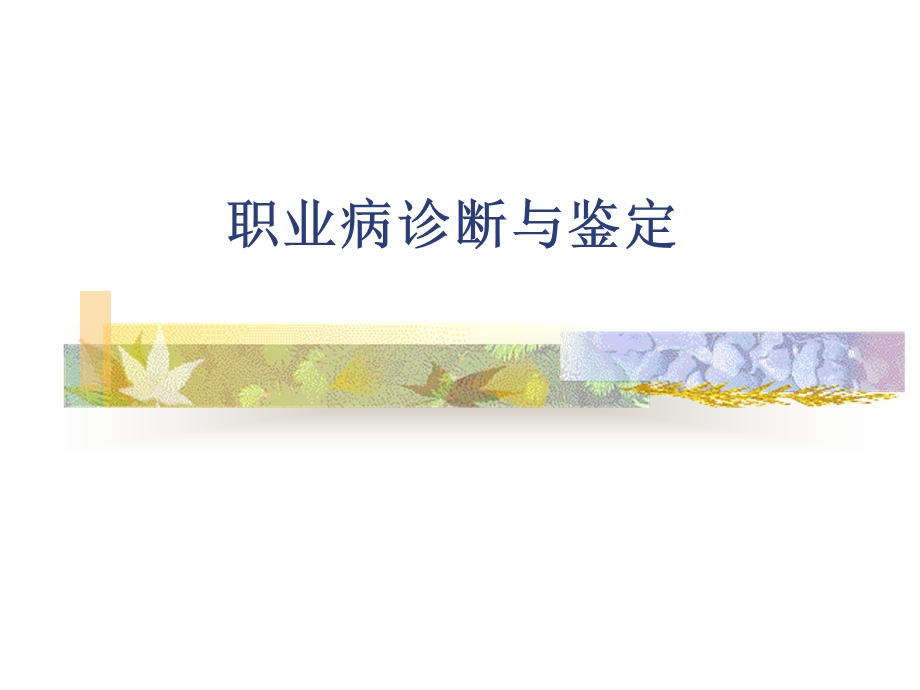 职业病诊断鉴定.ppt_第1页