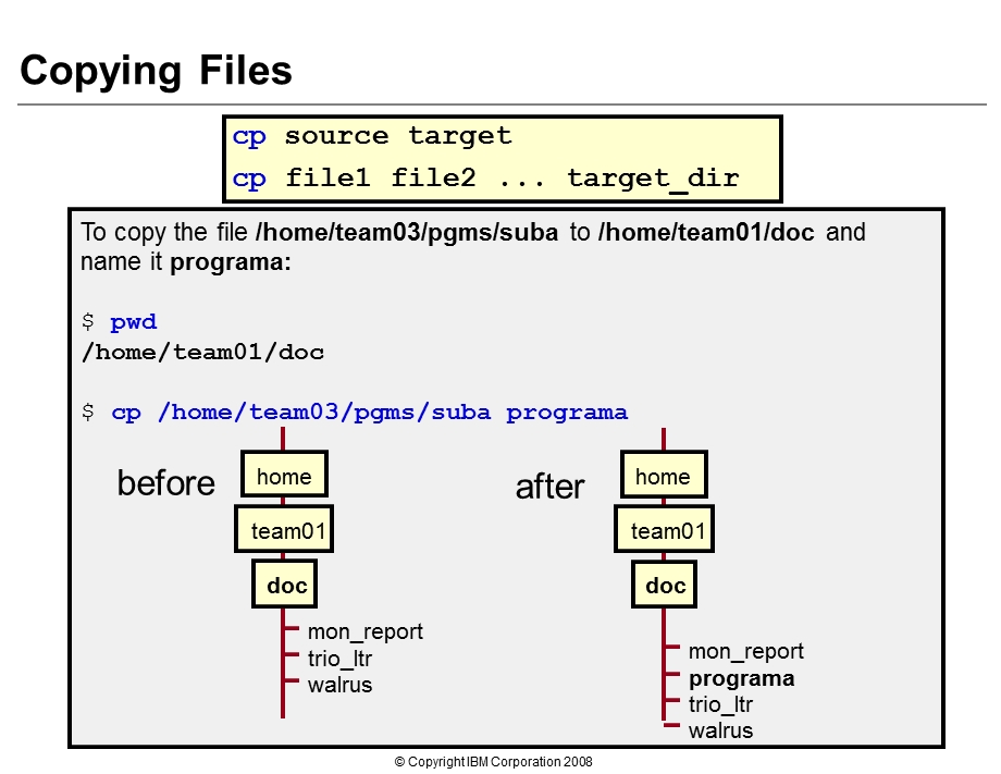 aix系统应用基础05usingfiles.ppt_第3页