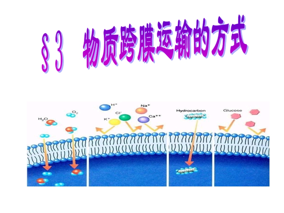 43物质跨膜运输的方式ok.ppt_第1页