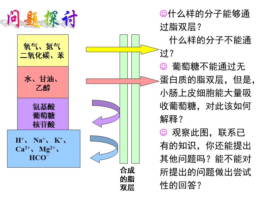 43物质跨膜运输的方式ok.ppt_第2页