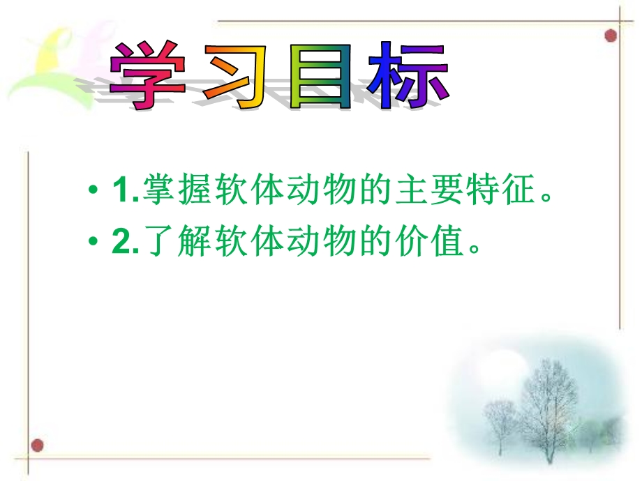 44第四节软体动物.ppt_第2页