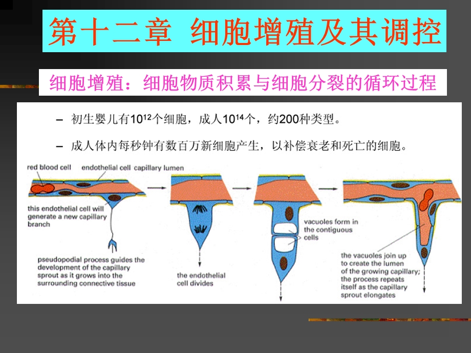 10第十二章.ppt_第1页