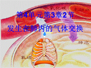 4.32发生在肺内的气体交换.ppt