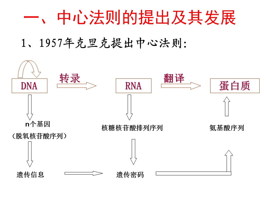 4.2基因对性状的控制课件晏迎.ppt_第3页