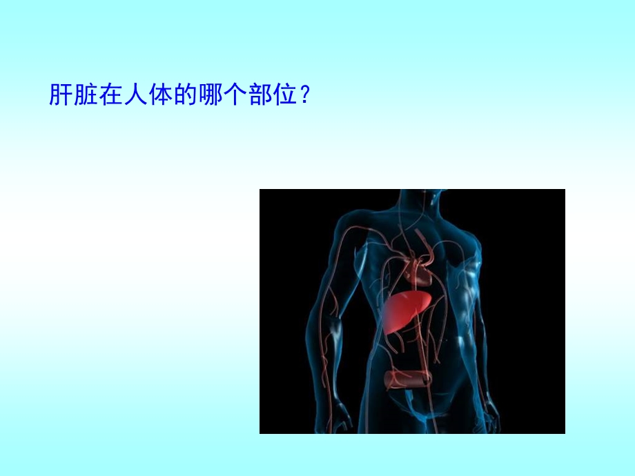 肝病预防090415.ppt_第2页