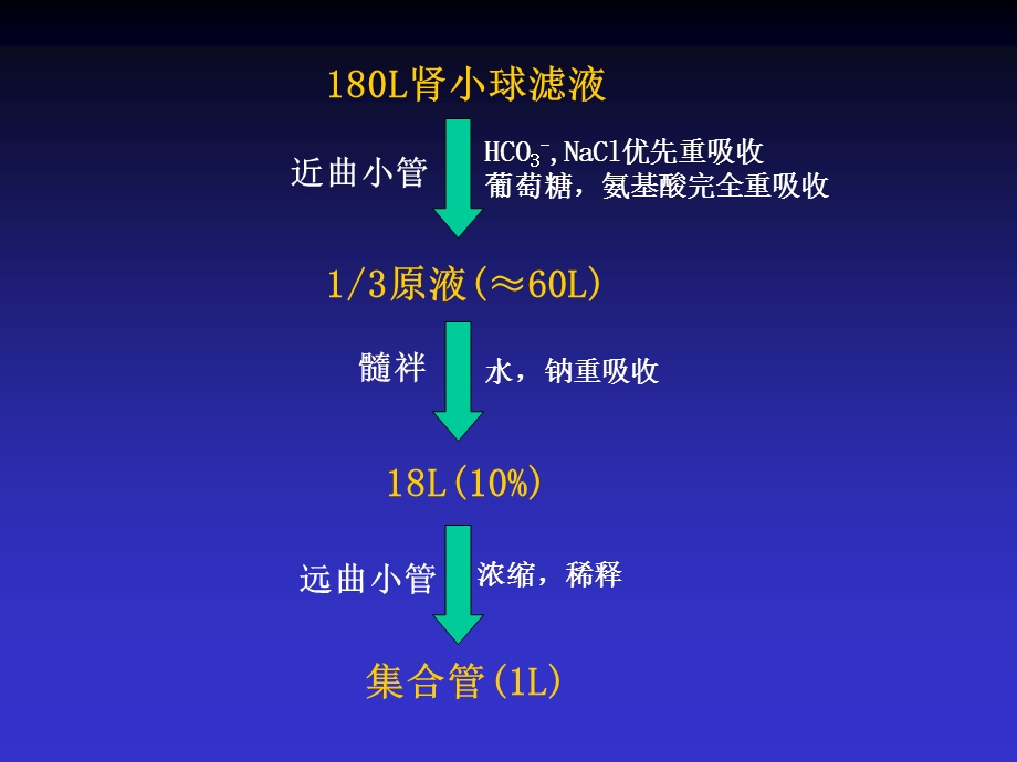 肾脏病常用的实验室检查.ppt_第3页