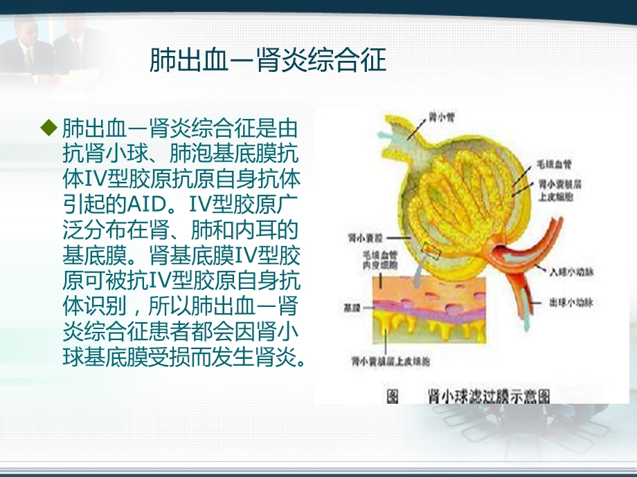 肺出血与肾炎综合征.ppt_第3页