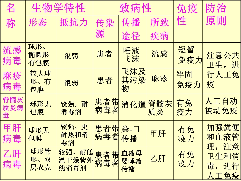 脊髓灰质炎病毒.ppt_第1页