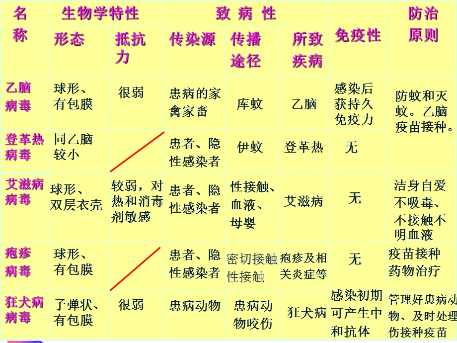 脊髓灰质炎病毒.ppt_第2页