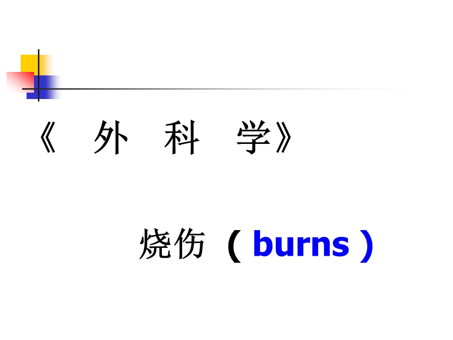 烧伤外科学.ppt_第1页