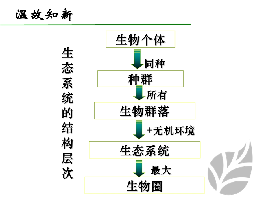 生态系统的结构PPT.ppt_第2页