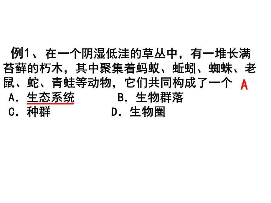 生态系统的结构PPT.ppt_第3页